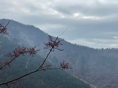 -青岛崂山太清宫