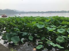 -郭庄茶室