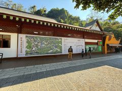 -野象谷景区
