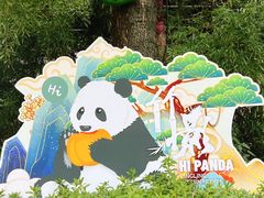 -灵玲国际马戏城