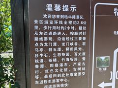 -石台牯牛降景区
