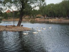 -石家庄市动物园