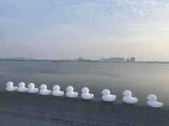 -南湖国家城市湿地公园