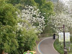 -黄龙溪欢乐田园