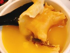 -鲜入围煮花胶鸡海鲜火锅