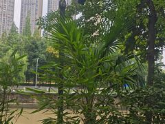 -成都市活水公园
