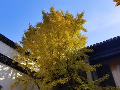 -惠山古镇·寄畅园