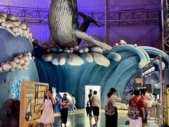 -烟台海昌鲸鲨海洋公园