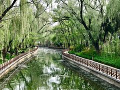 -迎泽公园