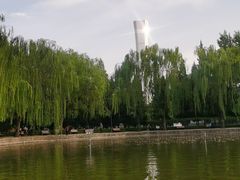 -团结湖公园