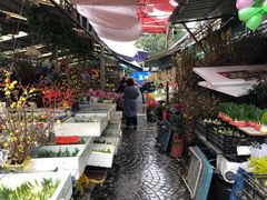 -曲阳花鸟市场(曲阳路店)