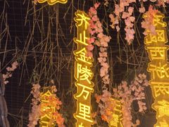 -夫子庙秦淮河画舫