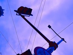 -合肥滨湖国家森林公园