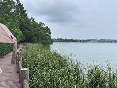 -东湖落雁景区