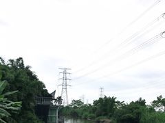 -崖口煲仔饭