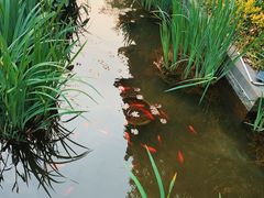 -武汉园博园(武汉自然博物馆)