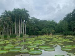 -中国科学院西双版纳热带植物园