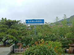 -蘇河湾·新鲁菜·泰山宴(泰山店)