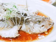 笋江蒸鲈鱼-泉州酒店-温陵中餐厅(庄府巷店)