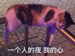 -东街口(地铁站)