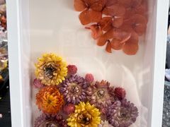 -上海星瀚奔驰4S店(红柳路店)