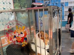 -暖阳宠物医院·犬猫康复中心·骨科