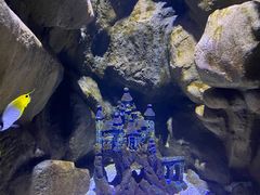 -成都浩海立方海洋公园