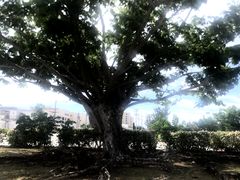 -美国纪念公园