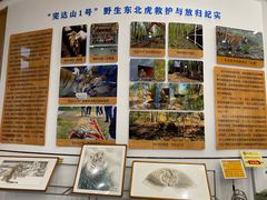 -横道河子东北虎林园