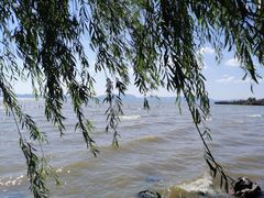 -捞渔河湿地公园