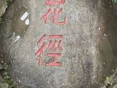 -庐山风景区花径公园