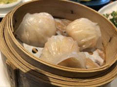 -广州富力君悦大酒店空中花园