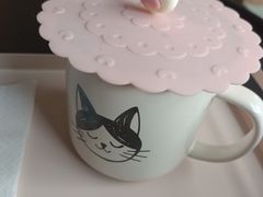 -喵屿·大理花园猫咖
