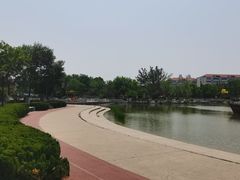 -绿岛公园(滨海新区)