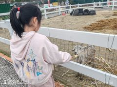 -菊园百果园