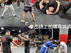 -极斗-IKMF马伽术·格斗运动学院(东直门店)