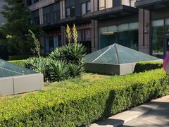 -国药中服免税(北京坊店)