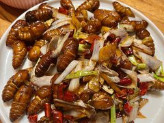 -鼎原力量东北吊炉烧烤(临河街店)