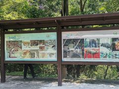 -银瓶嘴森林公园