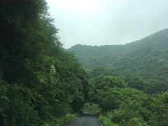 -午潮山国家森林公园