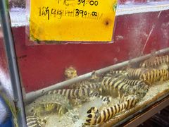 -大树下海鲜饭店