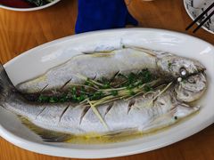 -品鲜村农家菜·阳澄湖大闸蟹(总店)