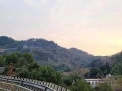 -福道