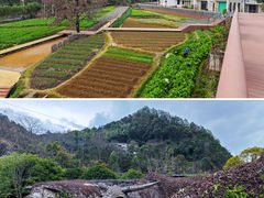 -大余丫山旅游度假区