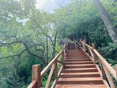 -大岭沟猕猴桃谷风景区