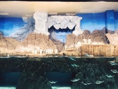 -成都浩海立方海洋公园