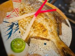 海鲳鱼-吉屋·炭烧酒场·秋冬功夫奶汁河豚鱼锅