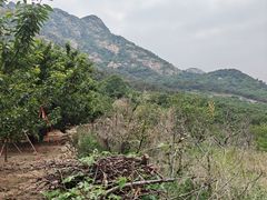 -大泽山风景名胜区