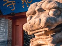 -普照寺