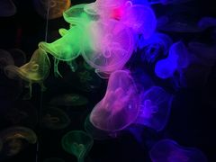 -太平洋海底世界